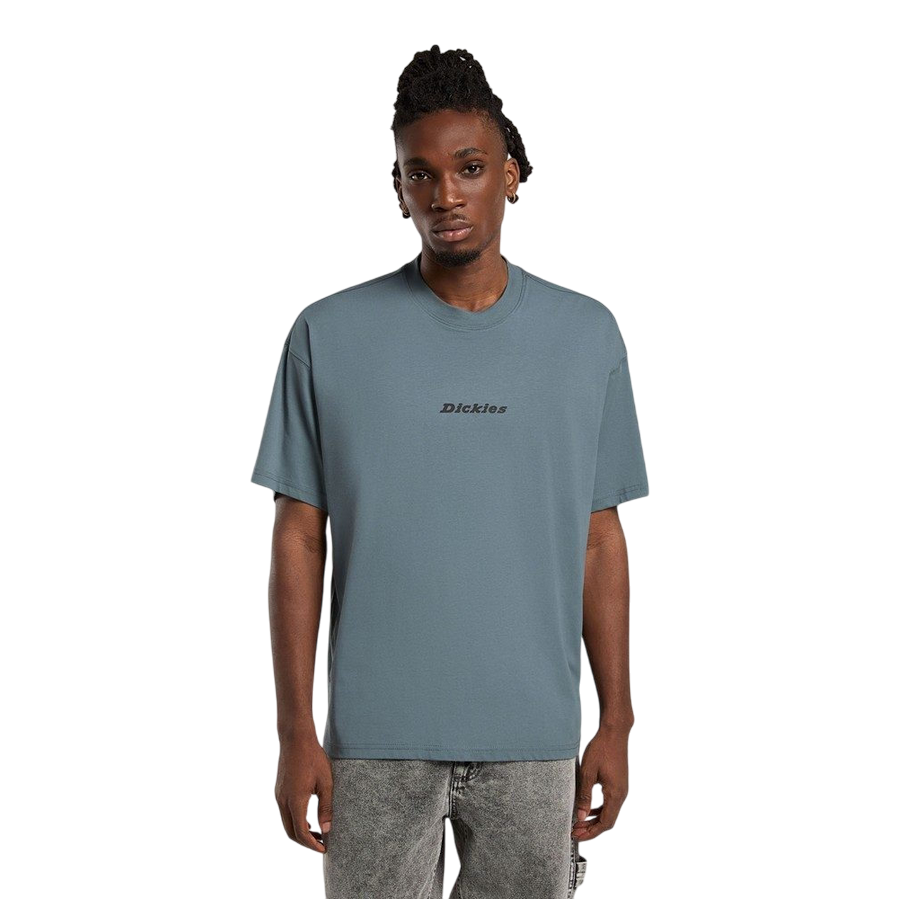 Sportiamo_Dickies maglietta manica corta da uomo Enterprise DK0A4YRNG701 nuvole grigie