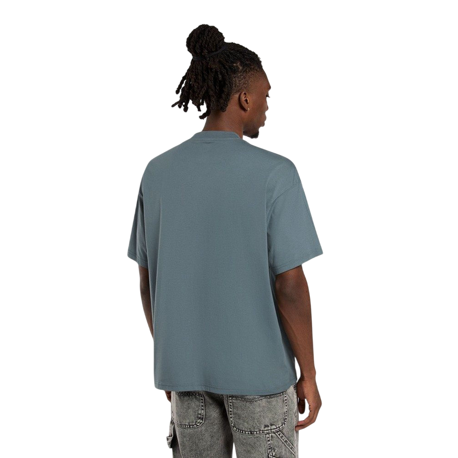 Sportiamo_Dickies maglietta manica corta da uomo Enterprise DK0A4YRNG701 nuvole grigie1
