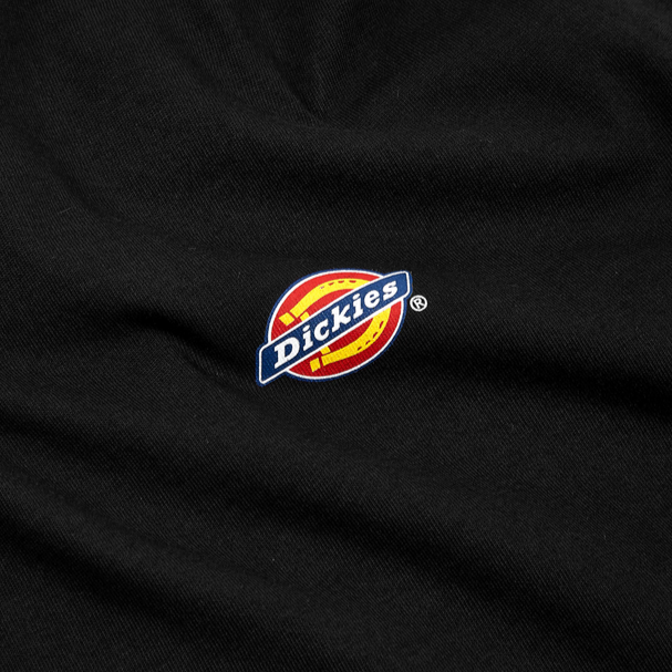 Sportiamo_Dickies maglietta manica corta da uomo Mapleton DK0A4XDBBK1 nero4