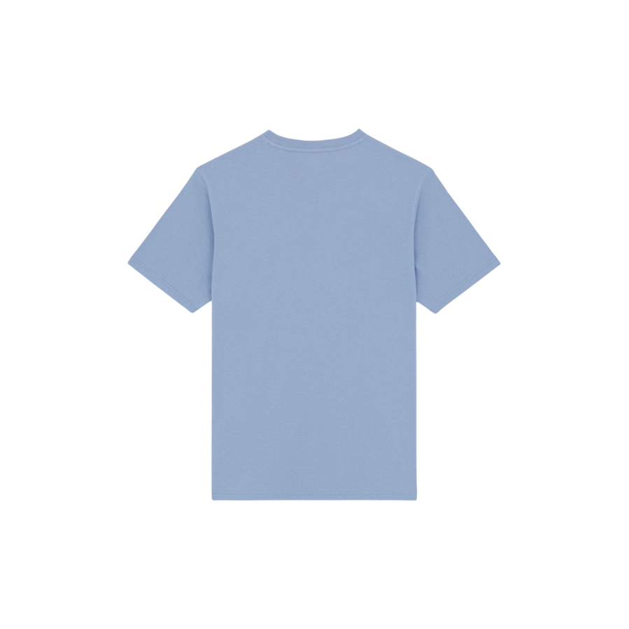 Sportiamo_Dickies maglietta manica corta da uomo Mapleton DK0A4XDBK371 celeste3