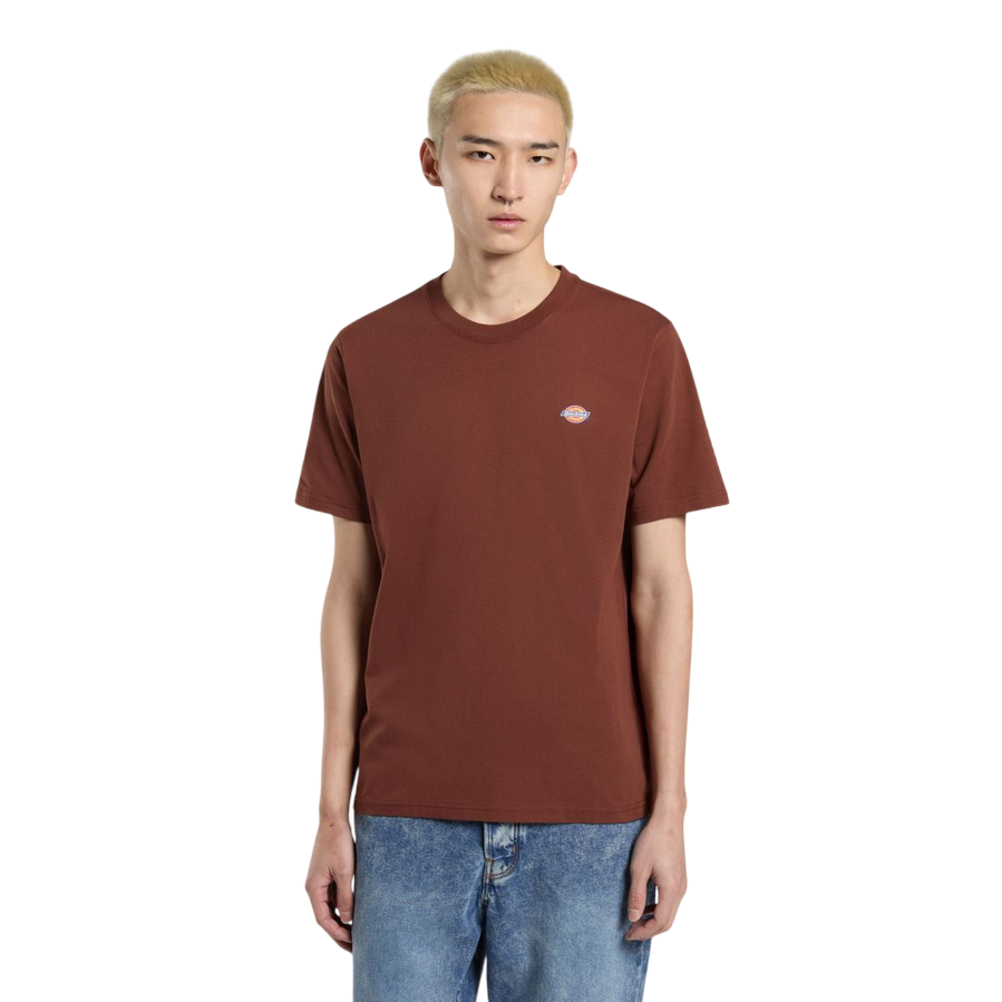Sportiamo_Dickies maglietta manica corta da uomo Mapleton DK0A4XDBK471 cappuccino