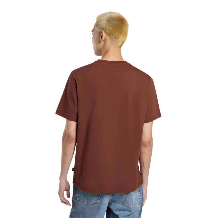 Sportiamo_Dickies maglietta manica corta da uomo Mapleton DK0A4XDBK471 cappuccino1