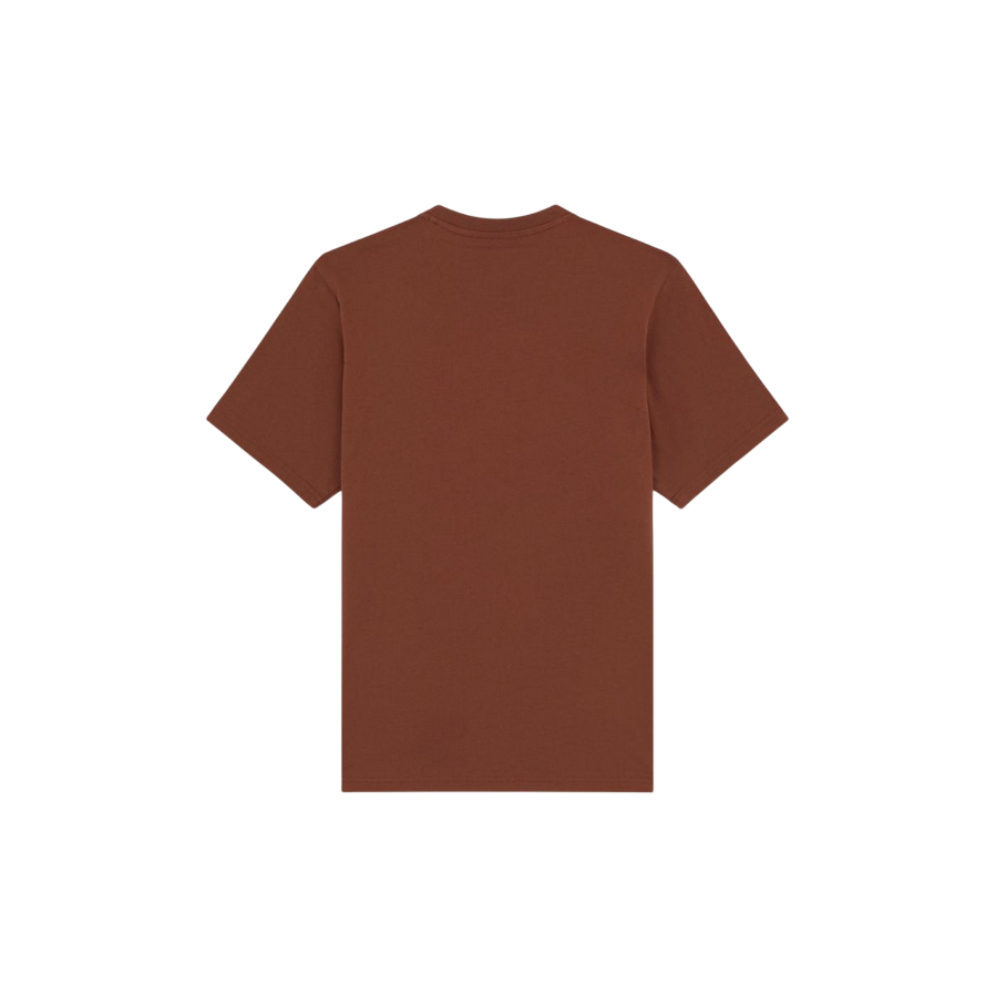 Sportiamo_Dickies maglietta manica corta da uomo Mapleton DK0A4XDBK471 cappuccino3
