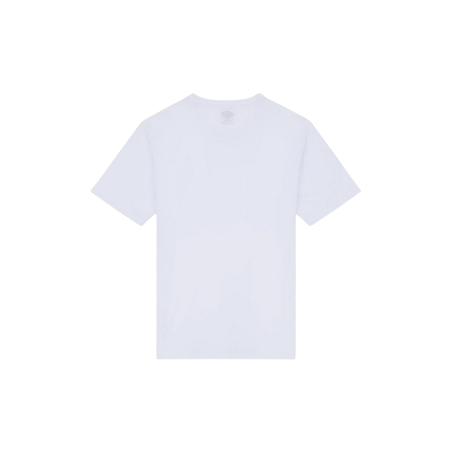 Sportiamo_Dickies maglietta manica corta da uomo Mapleton DK0A4XDB WHX bianco3