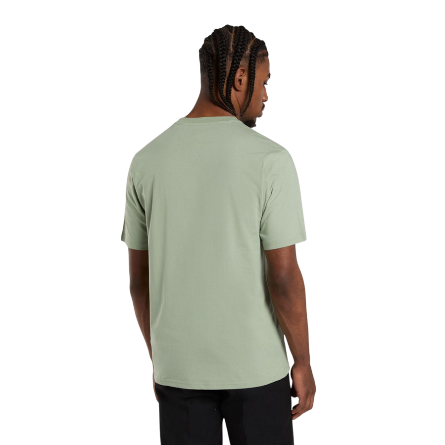 Sportiamo_Dickies maglietta manica corta da uomo Mapleton DK0AXDBK361 salvia1