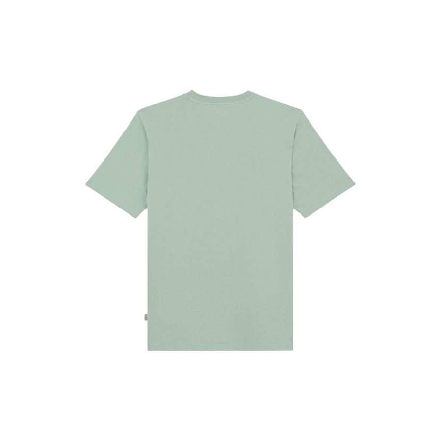 Sportiamo_Dickies maglietta manica corta da uomo Mapleton DK0AXDBK361 salvia3