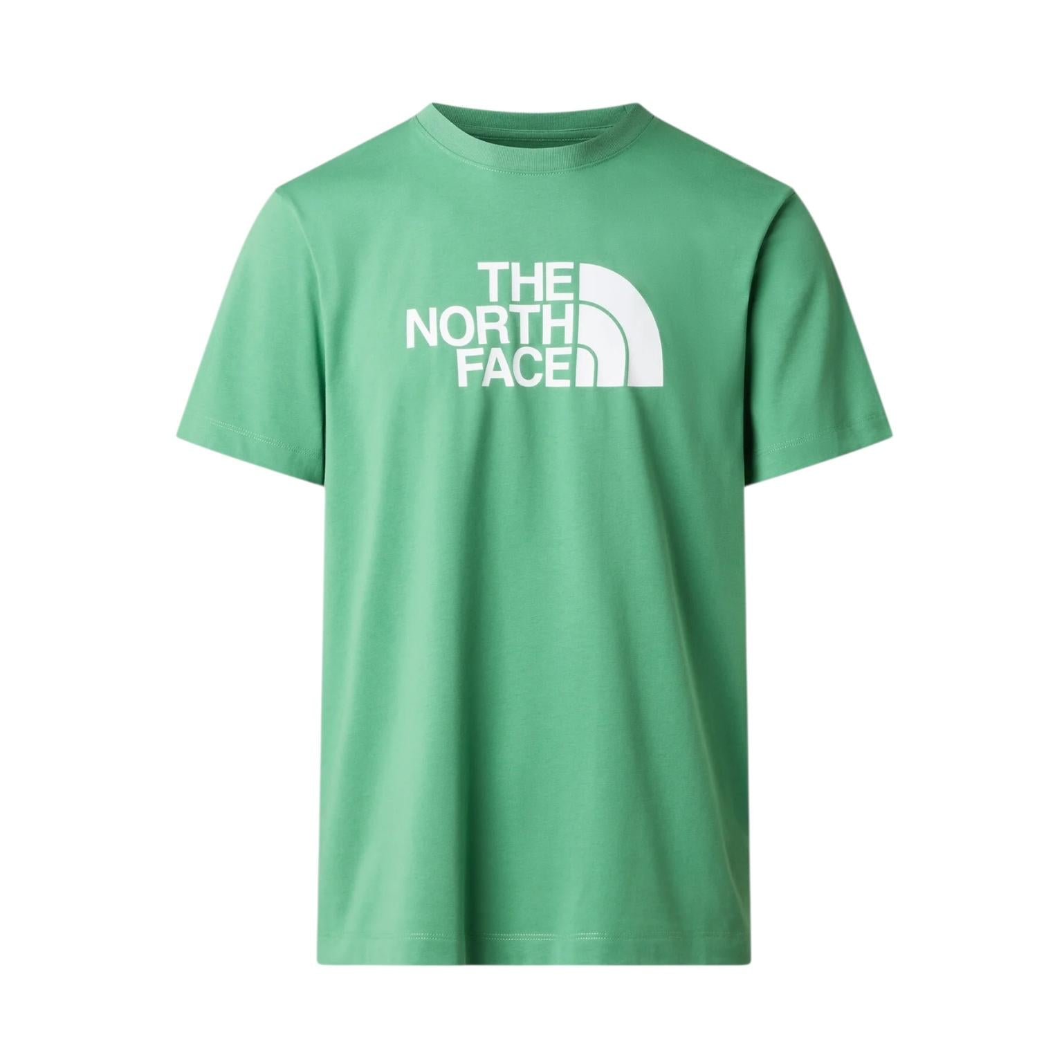 The North Face maglietta manica corta da uomo Evolution Half Dome Regular NF0A8B6JG57 Verde
