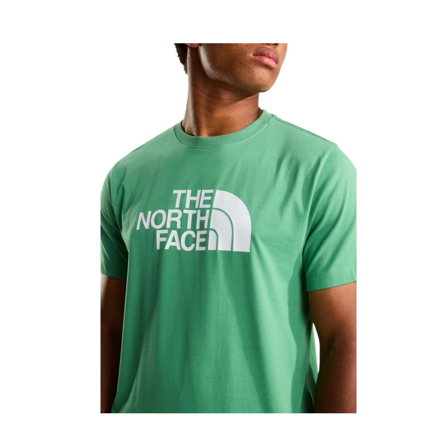 The North Face maglietta manica corta da uomo Evolution Half Dome Regular NF0A8B6JG57 Verde