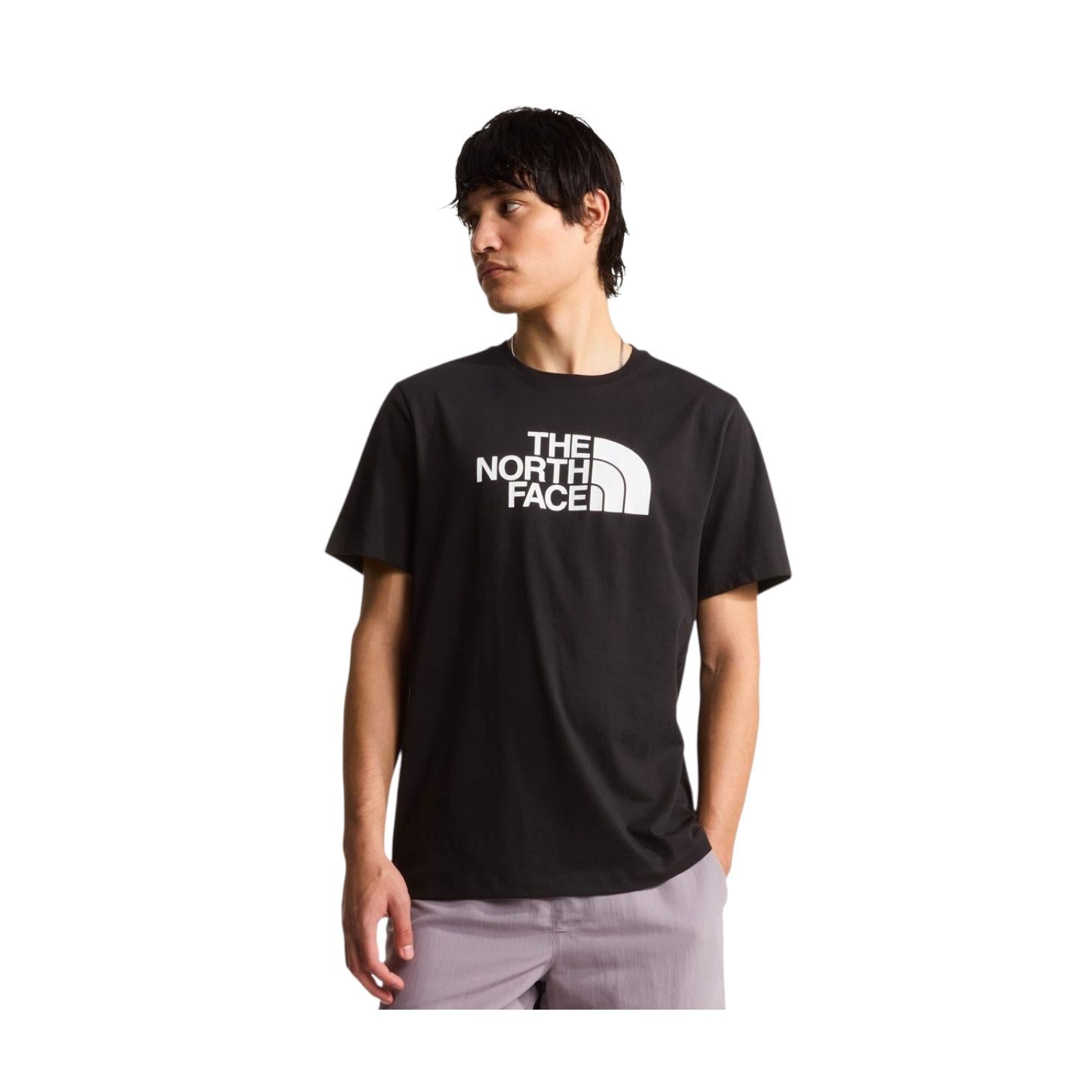 The North Face maglietta manica corta da uomo Evolution Half Dome Regular NF0A8B6JKY4 nero