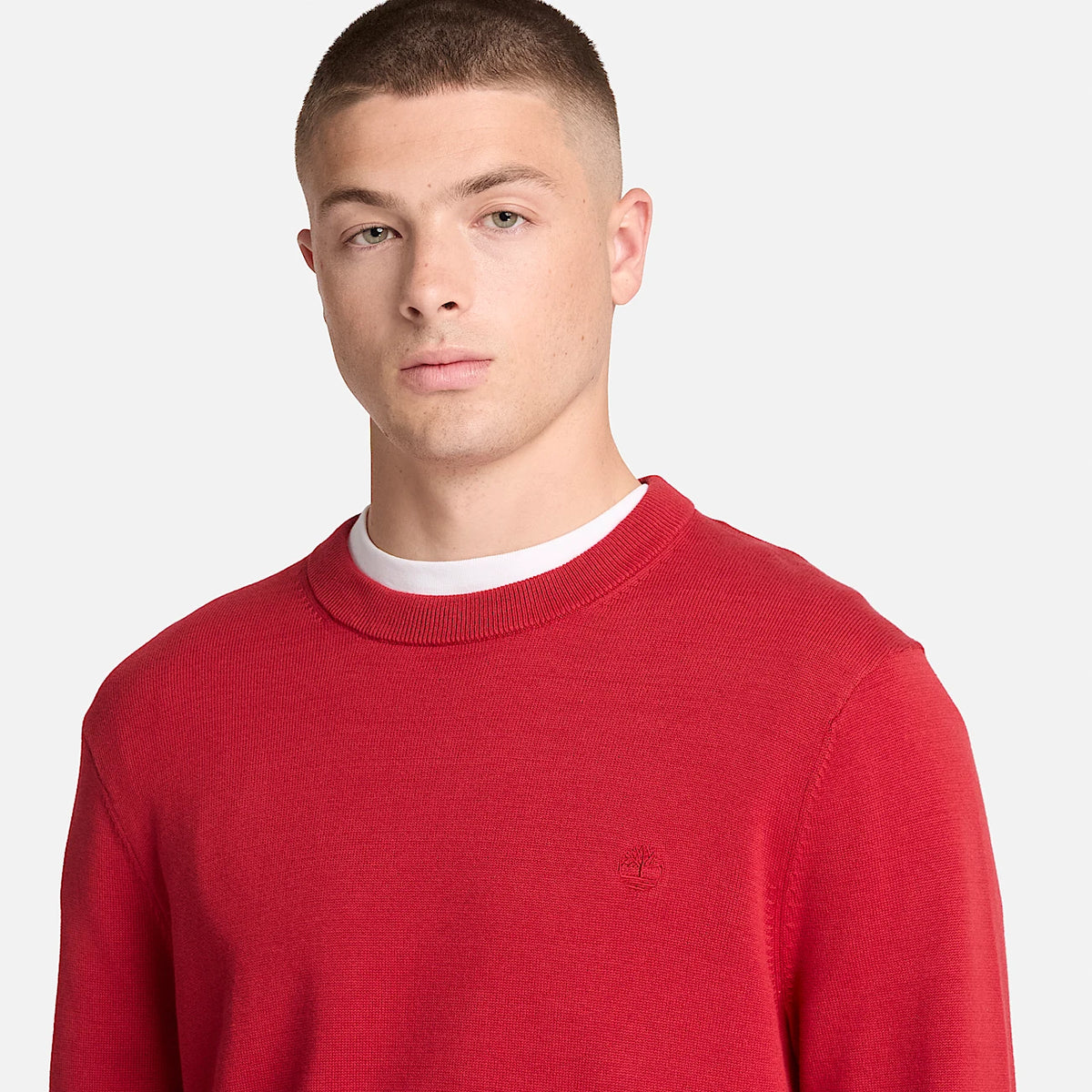 Timberland Maglione Girocollo in Cotone Williams River da Uomo TBC0YHAZ AI7 rosso