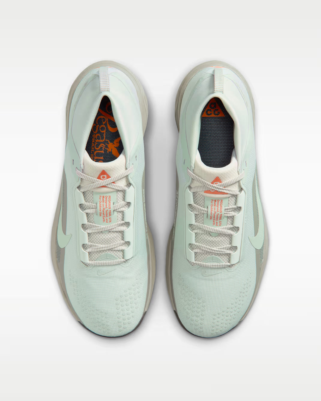 Nike ACG Pegasus Trail GTX IQ1084-003 Uomo Grigio - Scarpe Trail Running
