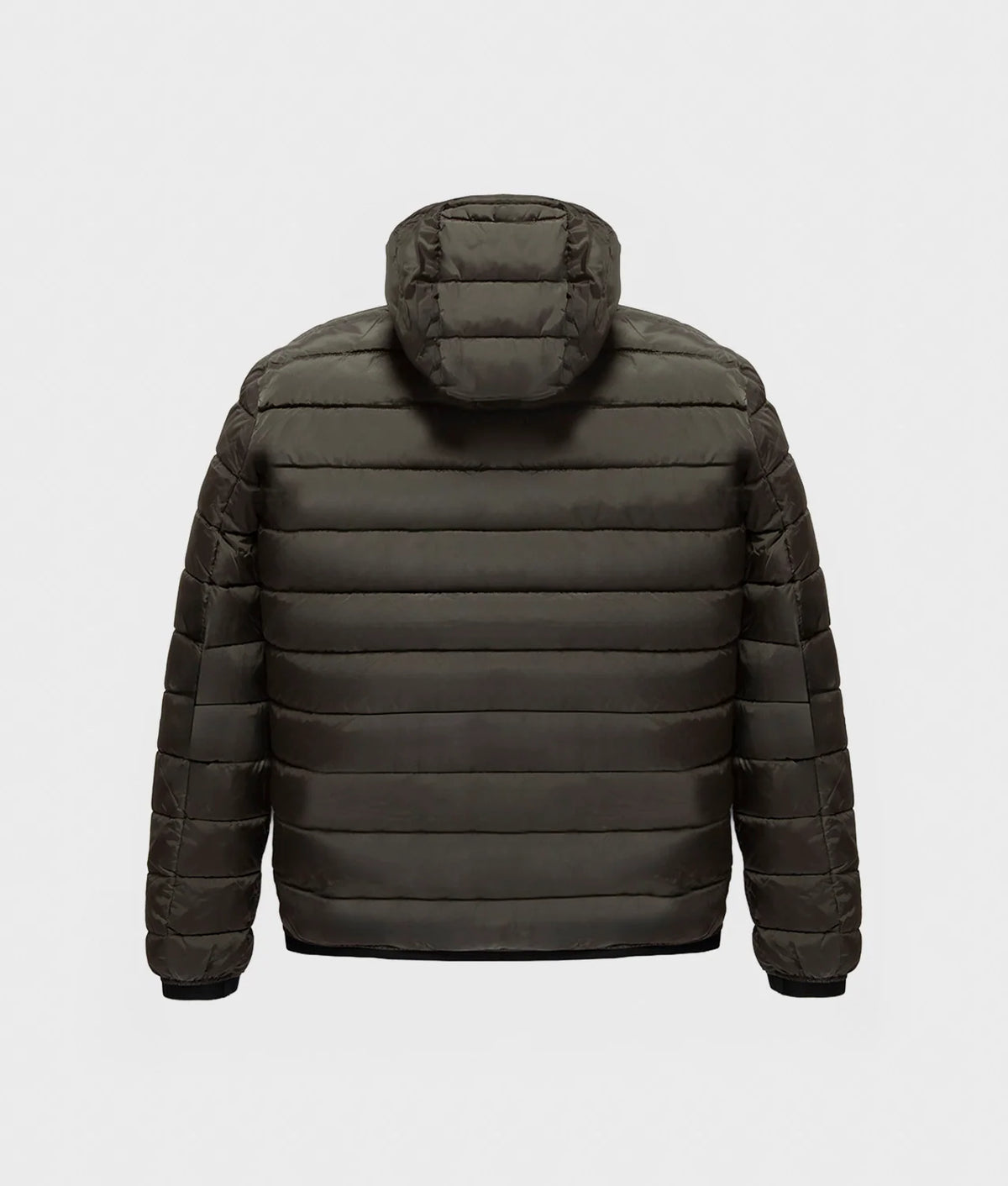 RefrigiWear Josh G23308 E04010 Uomo Verde Sea Turtle - Piumino