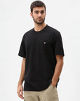 Dickies T-shirt Porterdale DK0A4TMO BLK black