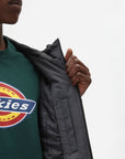 Dickies Giubbotto impermeabile da uomo New Sarpy DK0A4XG8CH charcoal grey