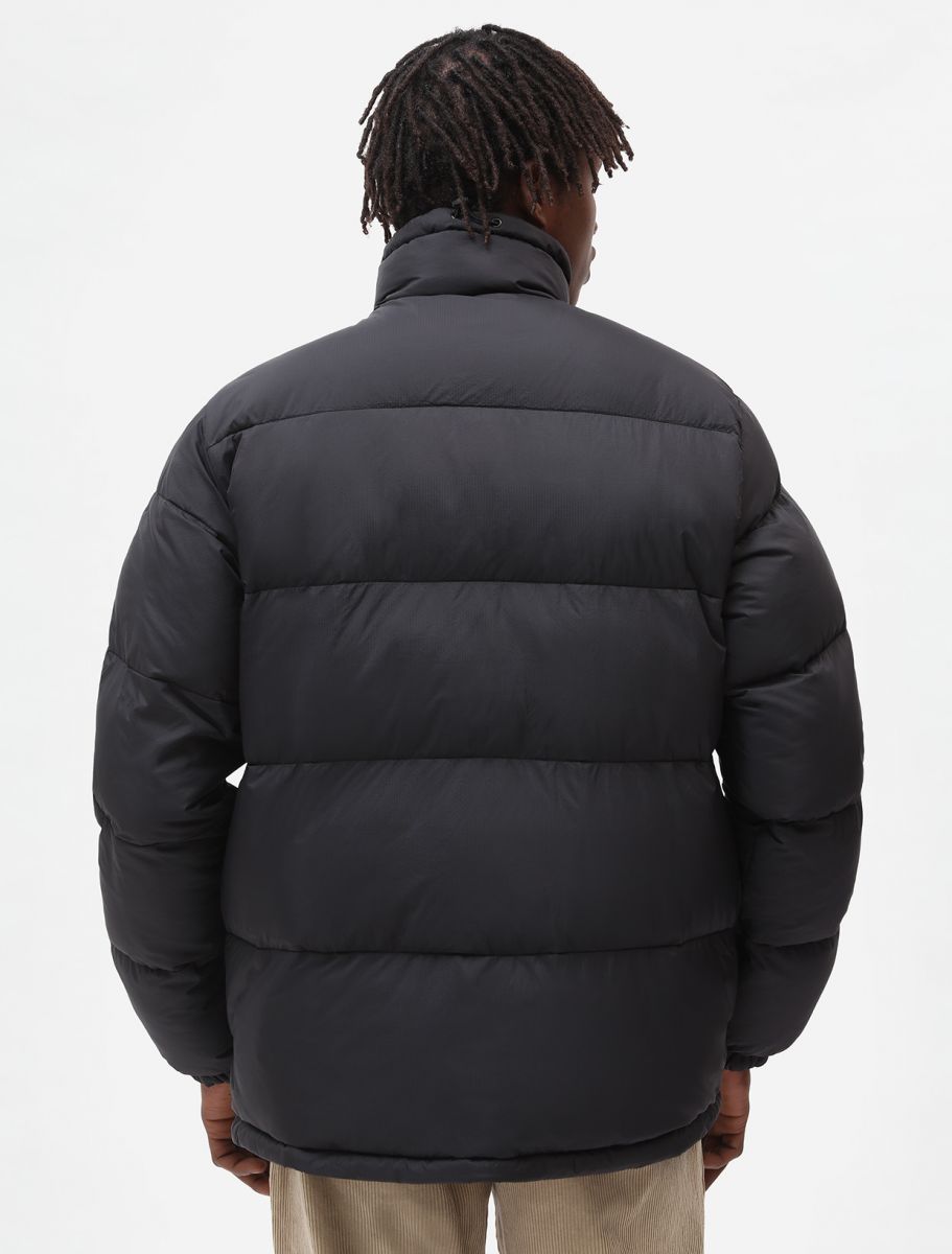 Dickies Piumino da uomo Waldenburg DK0A4XP2BLK1 nero dietro