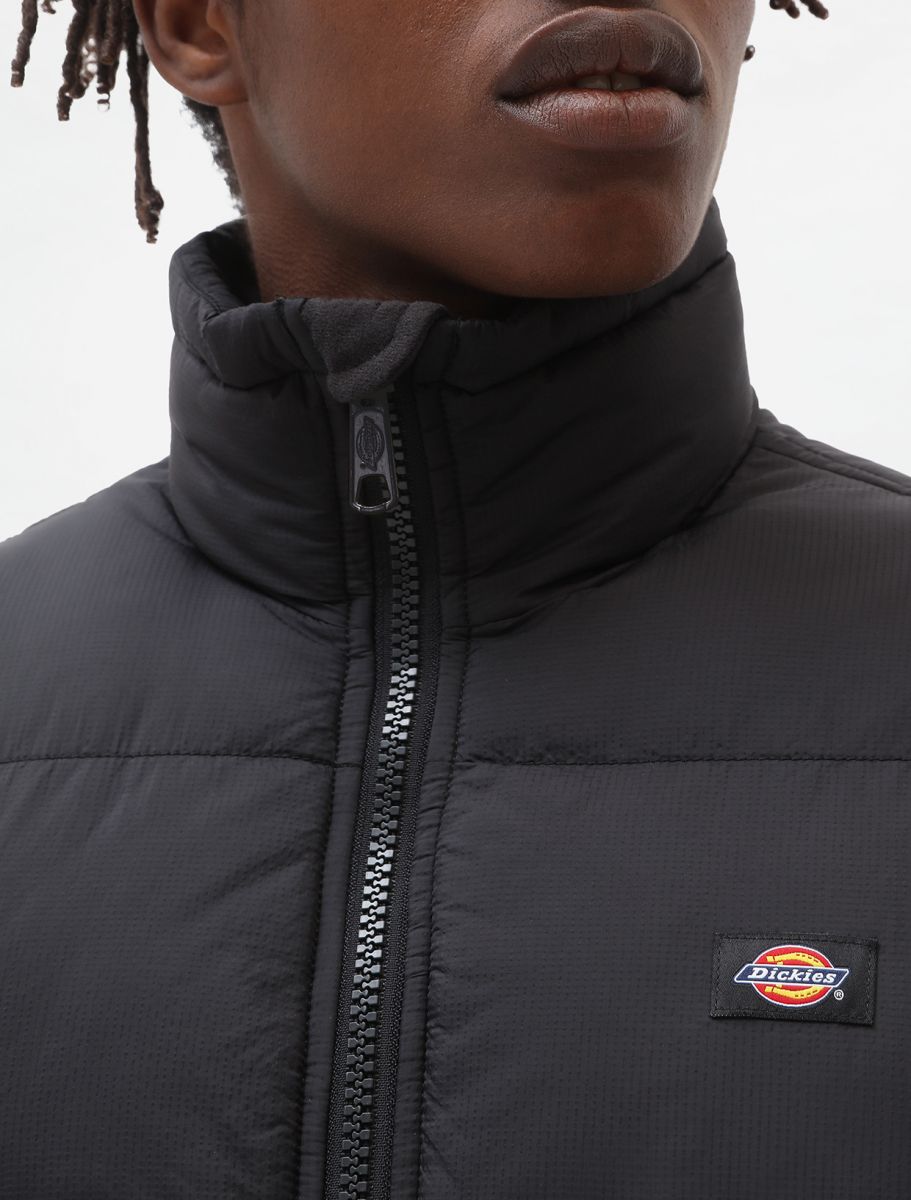 Dickies Piumino da uomo Waldenburg DK0A4XP2BLK1 nero logo