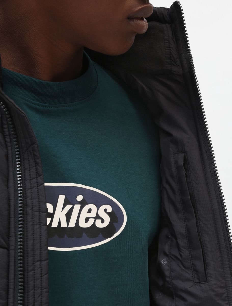 Dickies Piumino da uomo Waldenburg DK0A4XP2BLK1 nero tasca interna
