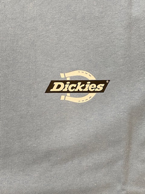 Dickies T-shirt manica corta da uomo Ruston DK0A4DC C36 celeste chiaro