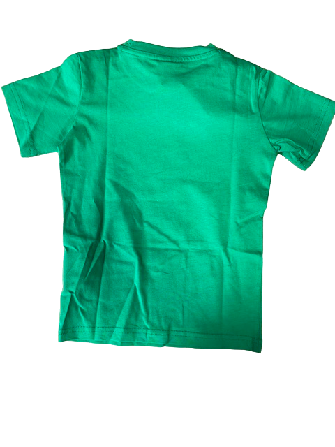 Champion T-shirt da ragazzo manica corta Legacy Graphic 306308 GS004 ELG verde