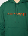 Carhartt Felpa con cappuccio American Script Sweat 1030230 11Y bonsai-mattone